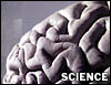[ Is our life an epiphenomenon of chemical processes in our brains? ]