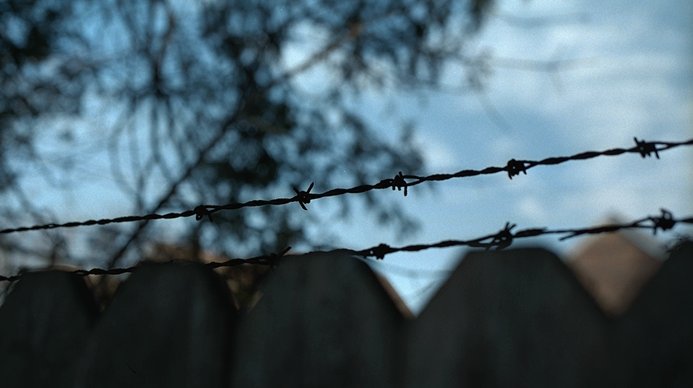 [ Barbed wire in my own back yard.]