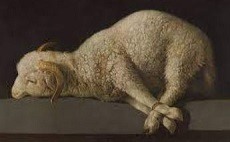 Sacrificial lamb.