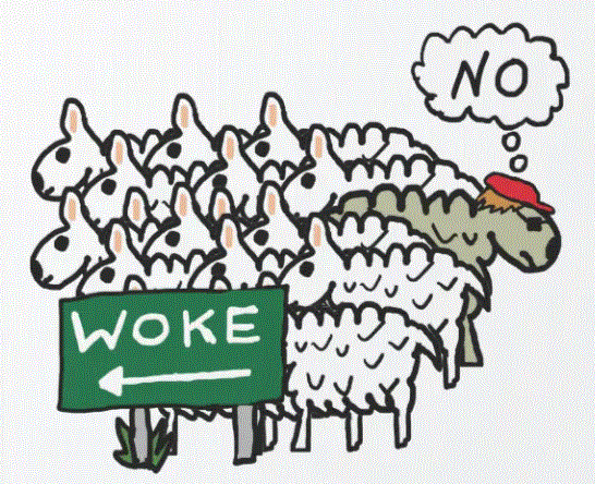 Woke sheep