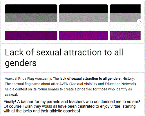 The sexuality of choosing to have no sexual desire for anybody or anything, not male human beings, not female human beings, not infants born with two heads, not sheep, not motorcycles, not Coca-Cola bottles, not turkey basters, not giving high school seniors SAT tests, not even the mathematical null set – nothing whatever.