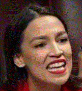 Alexandria Ocasio-Cortez. U.S. Congresswoman for some reason called by many persons: "AOC". She seems to like getting in people's faces and offending them, to the point that one Congressman, Yoho, called her a: "fucking bitch". Whether that is an empirical fact or not, this person does seem to be self-righteous and self-important, which apparently some people like for some reason.
