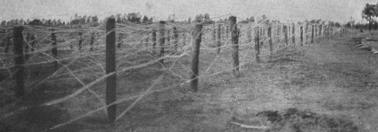 Barbed wire on the Western Front, World War I.