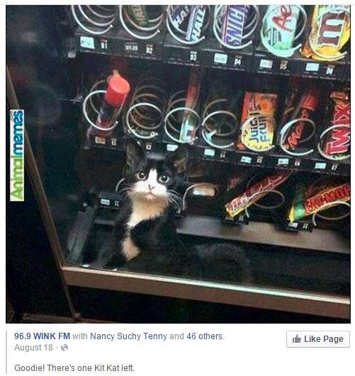 Vending machine, with one Kit Kat left to buy....